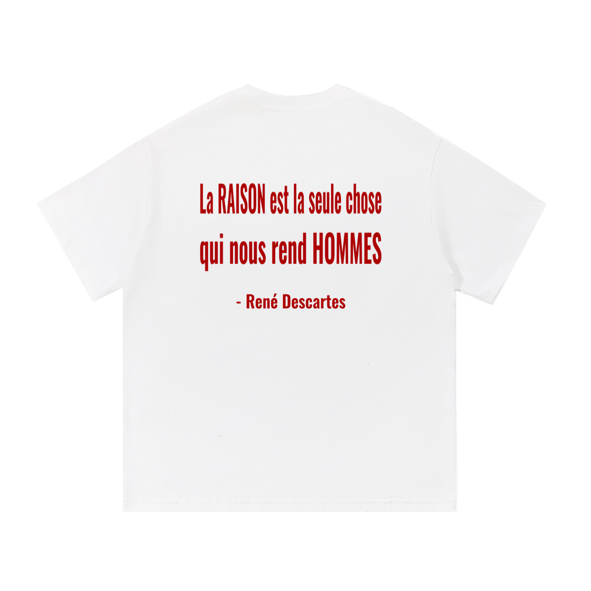 La raison — Descartes